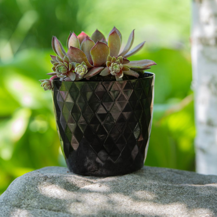 Doniczka CRISTAL 14cm czarna